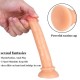 15CM Testissiz Gerçekçi Anal Dildo 15CM Testissiz Gerçekçi Anal Dildo